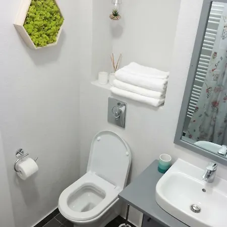 Schuller Guest house Brasov